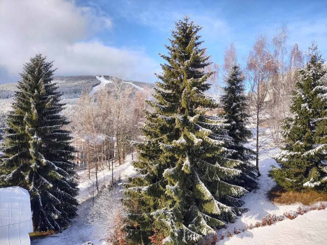 Pension Kubu Apartment 3 Samostatny Byt S Kuchyni Špindlerŭv Mlýn Buitenkant foto